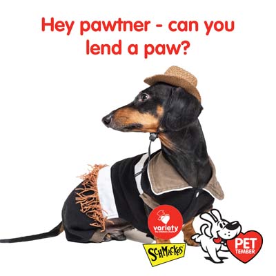 Hey pawtner