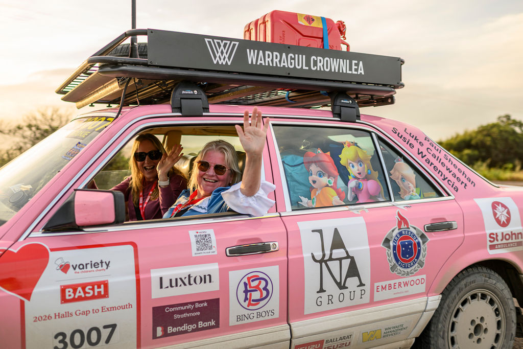 Variety Bash Car 3007