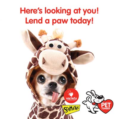 Lend a paw today